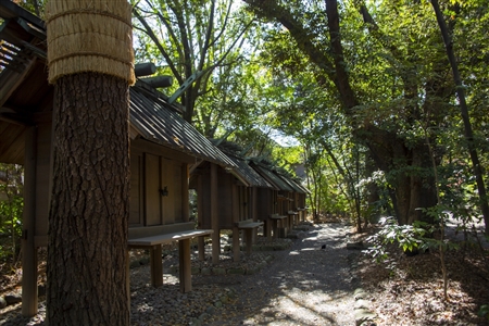 Atsuta Shrine(171)