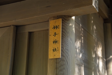 Atsuta Shrine(176)