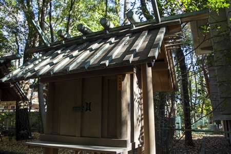 Atsuta Shrine(183)