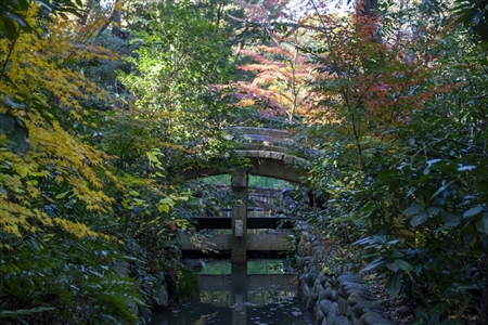 Atsuta Shrine(196)