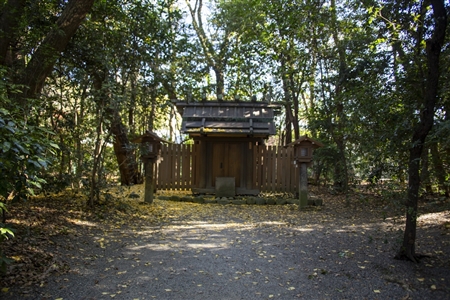 Atsuta Shrine(198)