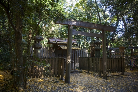 Atsuta Shrine(202)