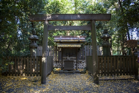 Atsuta Shrine(203)
