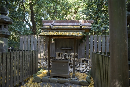Atsuta Shrine(204)