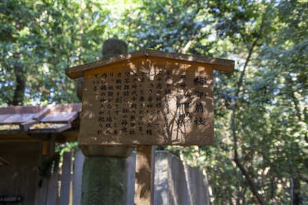 Atsuta Shrine(205)