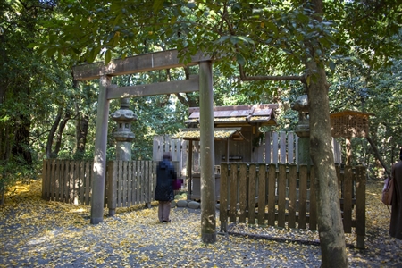 Atsuta Shrine(206)