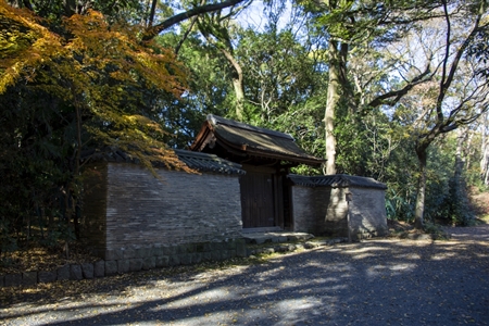 Atsuta Shrine(208)