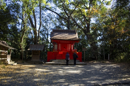 Atsuta Shrine(214)