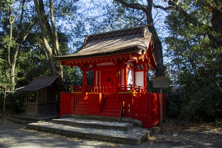 Atsuta Shrine(217)