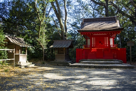 Atsuta Shrine(219)
