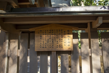 Atsuta Shrine(225)
