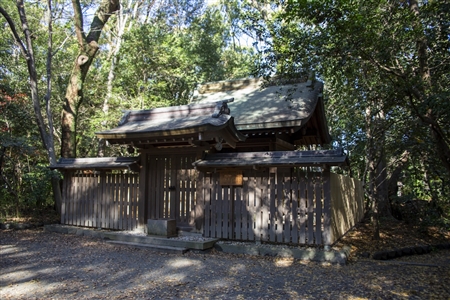 Atsuta Shrine(226)
