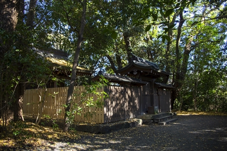 Atsuta Shrine(227)