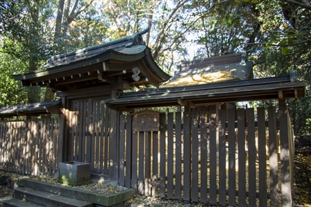 Atsuta Shrine(231)