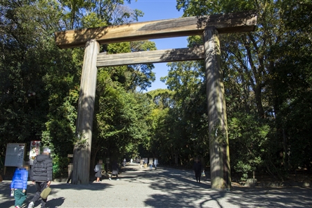 Atsuta Shrine(236)