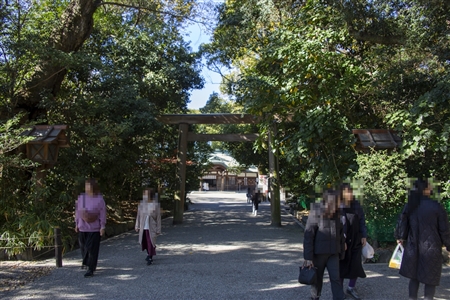 Atsuta Shrine(238)