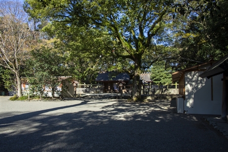 Atsuta Shrine(240)