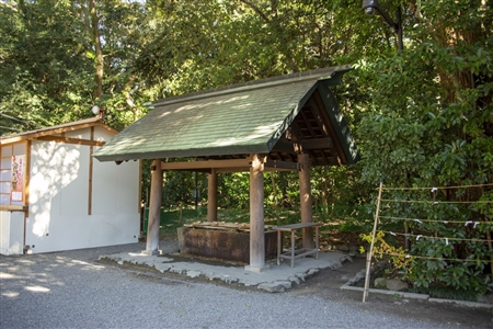 Atsuta Shrine(242)