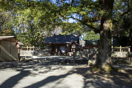 Atsuta Shrine(243)