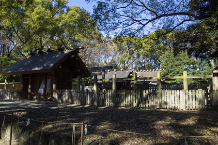 Atsuta Shrine(245)
