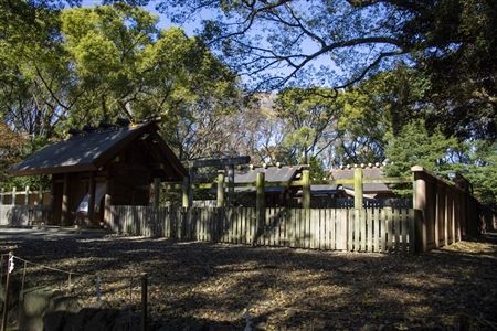 Atsuta Shrine(247)