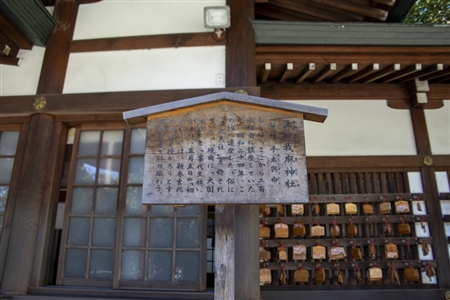 Atsuta Shrine(252)