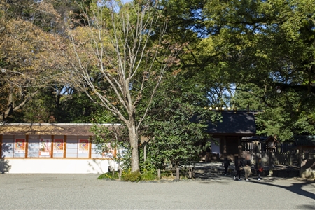 Atsuta Shrine(259)