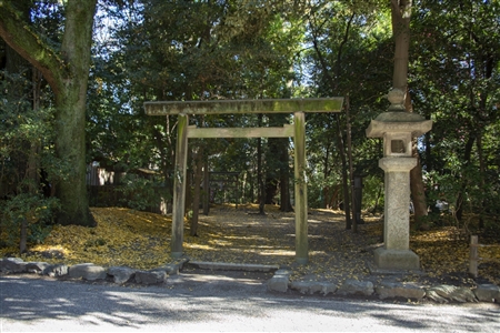Atsuta Shrine(261)