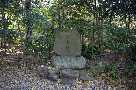 Atsuta Shrine(263)