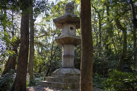 Atsuta Shrine(27)