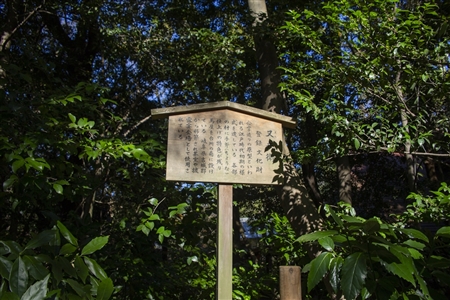 Atsuta Shrine(295)