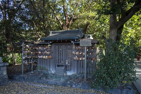 Atsuta Shrine(298)