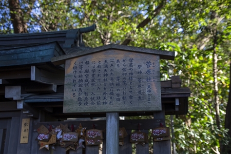 Atsuta Shrine(300)