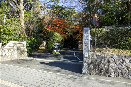 Atsuta Shrine(307)