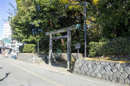 Atsuta Shrine(310)