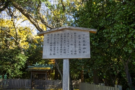 Atsuta Shrine(312)