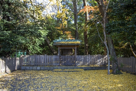 Atsuta Shrine(313)