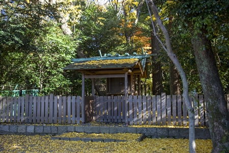 Atsuta Shrine(316)