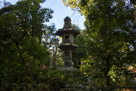 Atsuta Shrine(33)