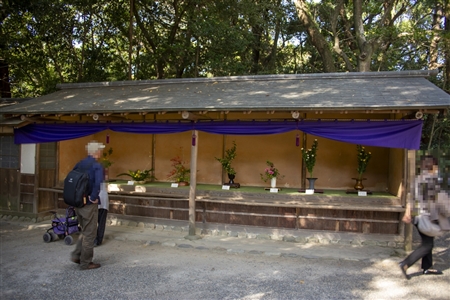Atsuta Shrine(409)