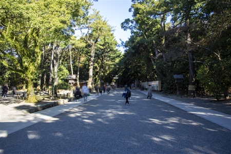 Atsuta Shrine(41)