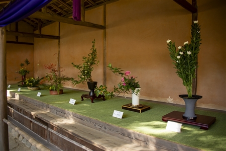 Atsuta Shrine(410)