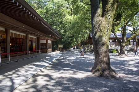 Atsuta Shrine(511)