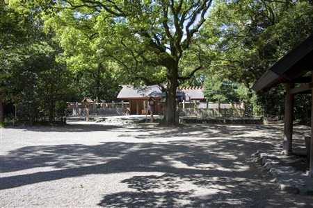 Atsuta Shrine(530)