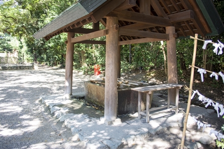 Atsuta Shrine(531)