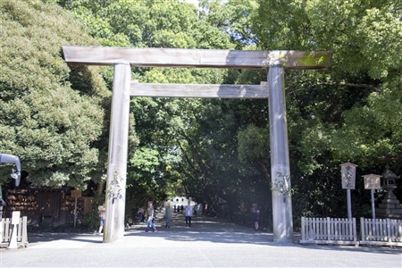 Atsuta Shrine(539)