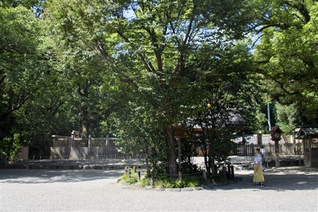 Atsuta Shrine(548)