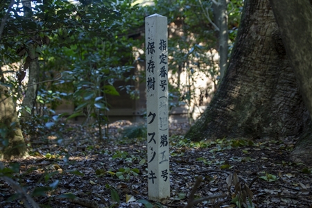 Atsuta Shrine(72)