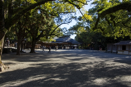 Atsuta Shrine(87)
