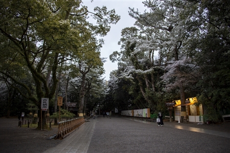 熱田神宮の雪景色(1)